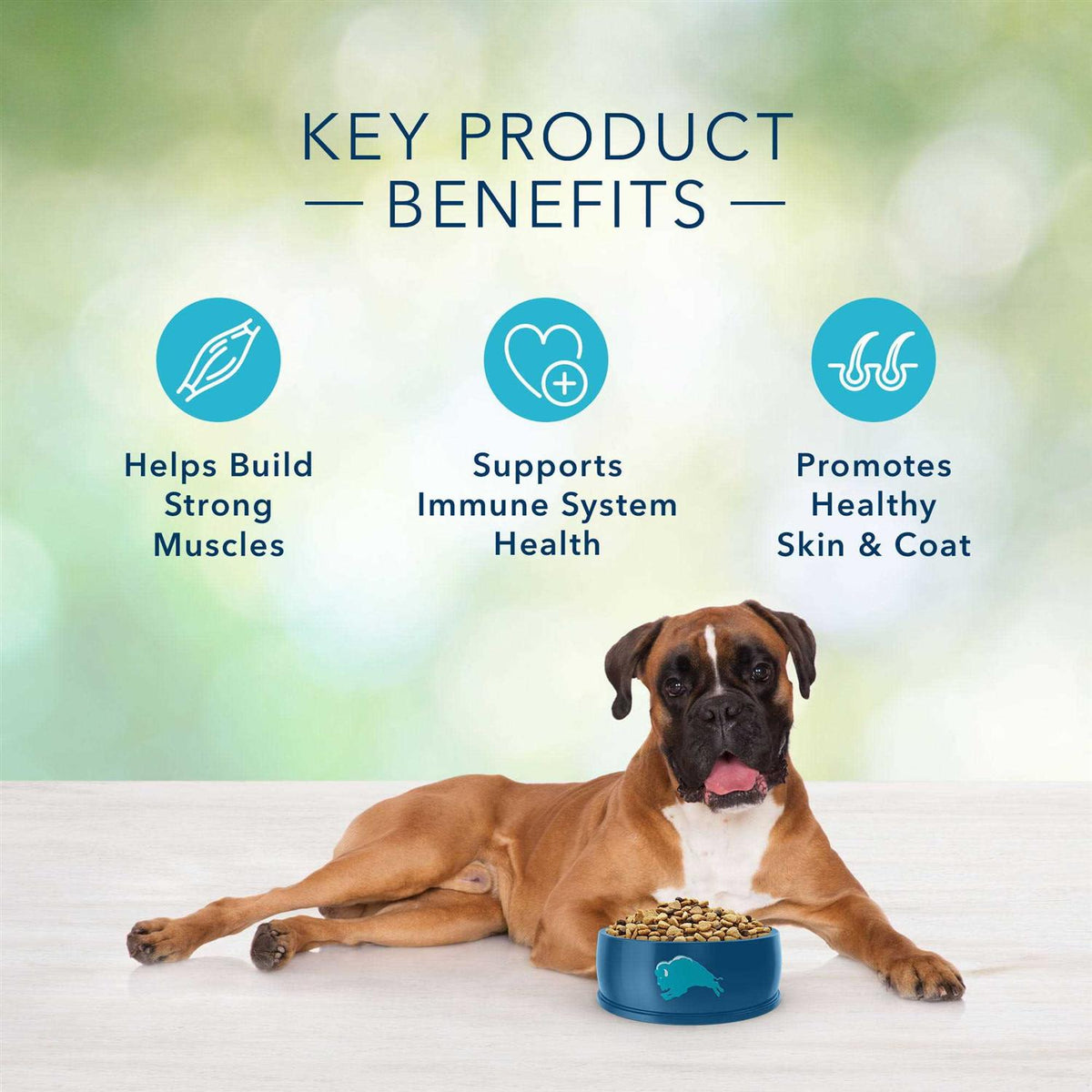 Blue Buffalo Freedom Adult Free Dog Food K87123