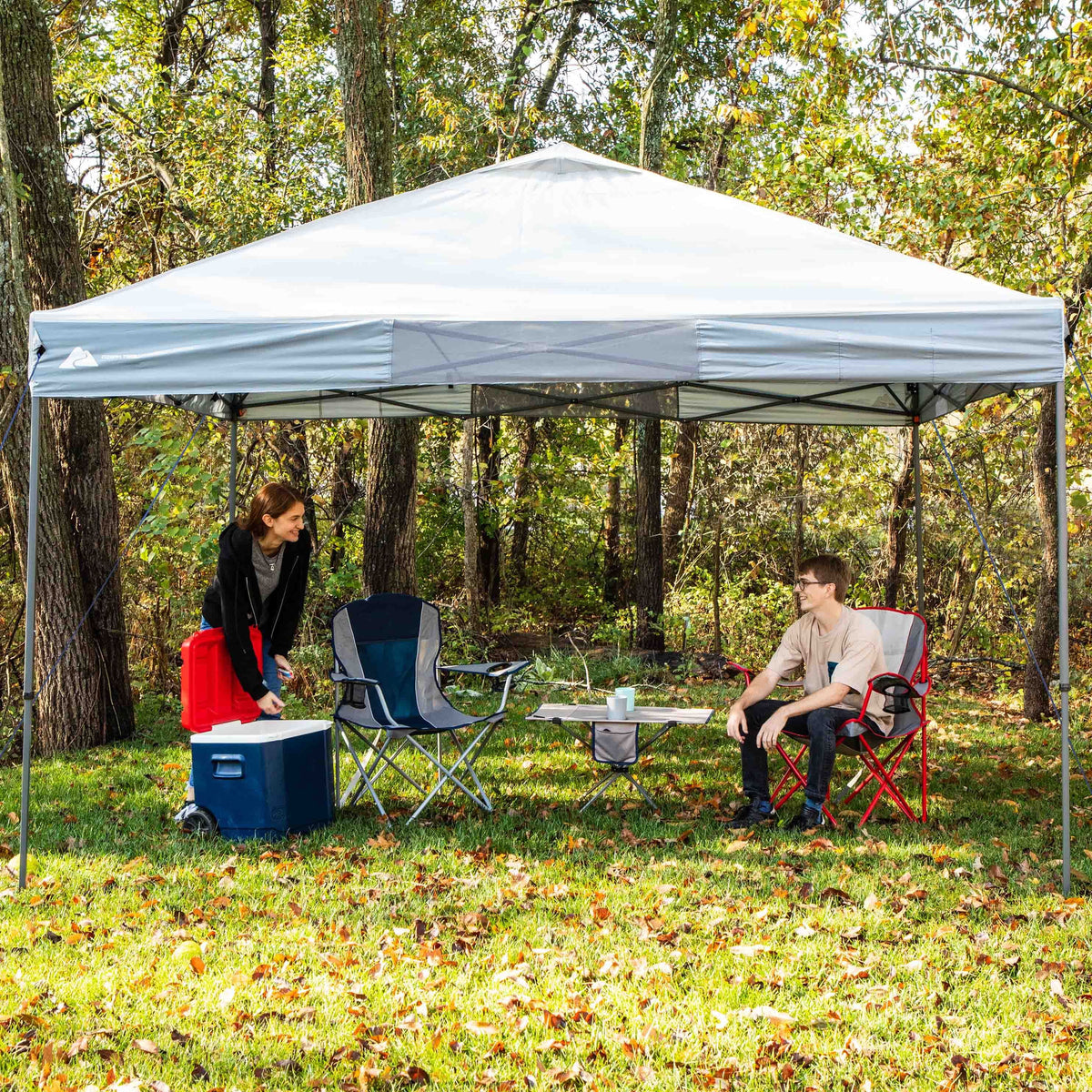 12' x 12' Instant Straight Leg Canopy H701052