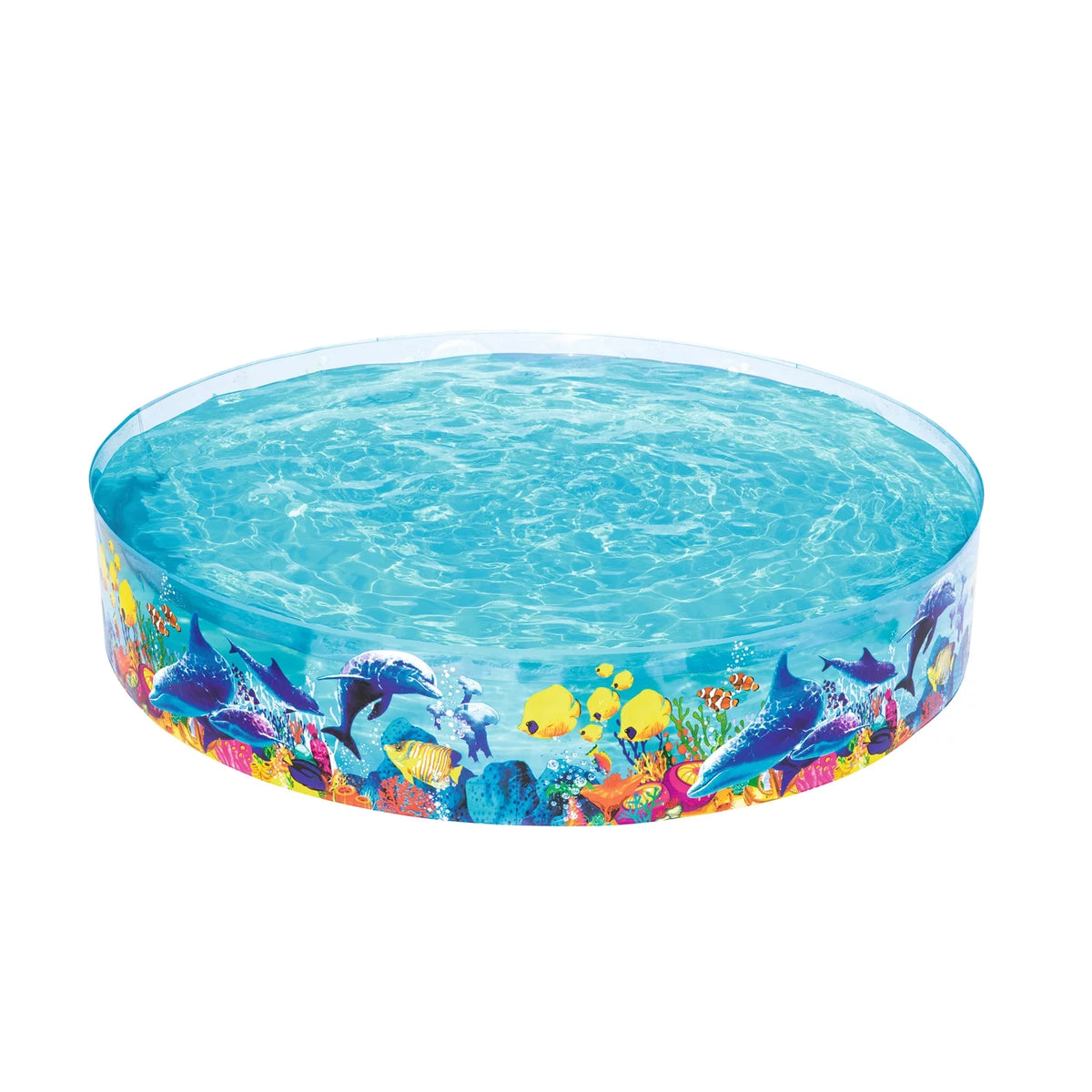 Round Swimming Pool Q580862