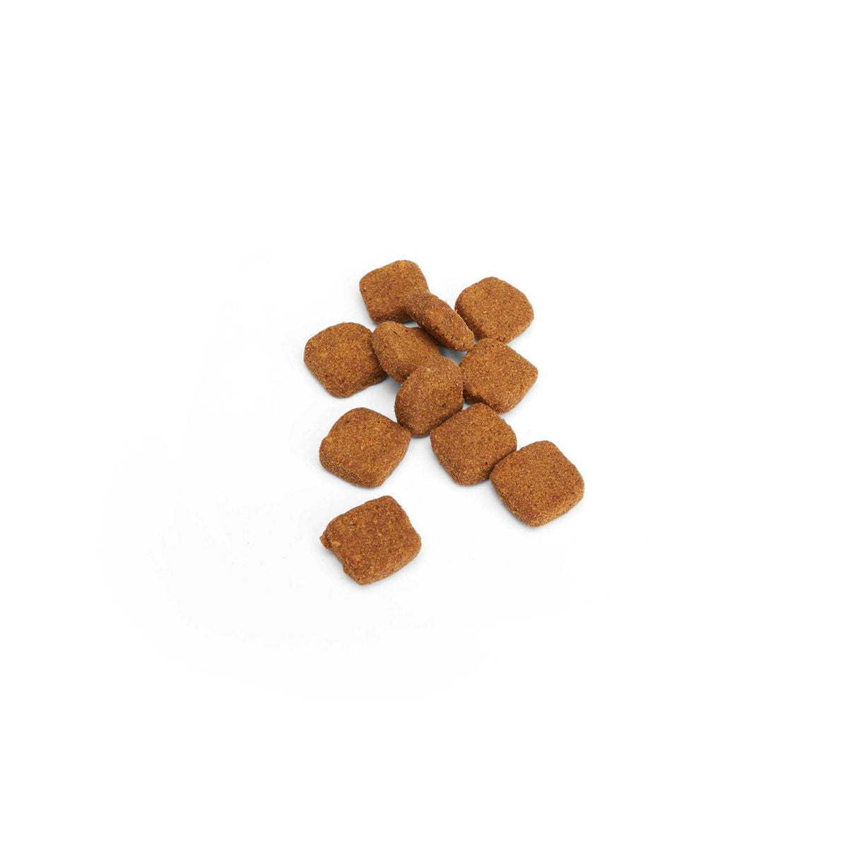 Cat Allergy Soft Chews L14707