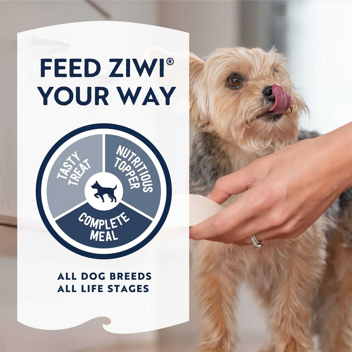 Air Dried Beef Dog Food X719460