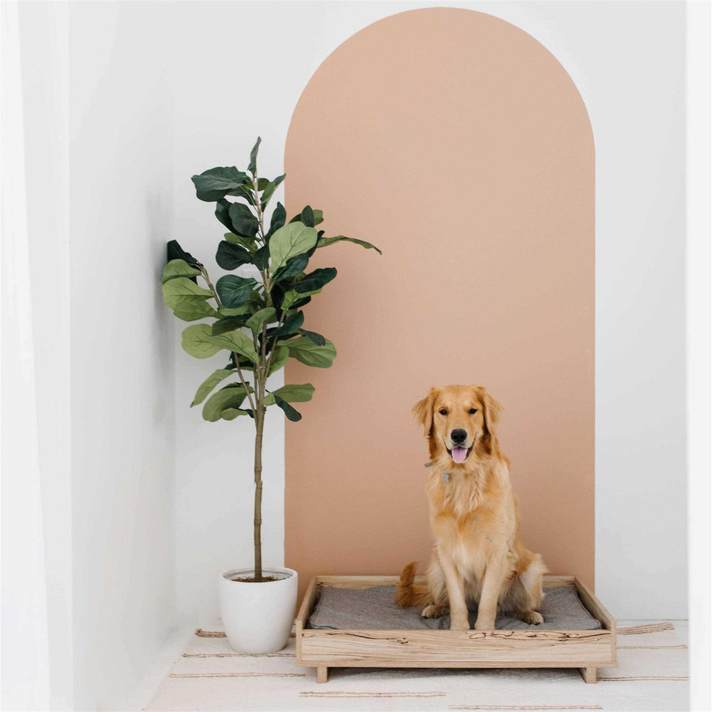 Pet Bed Frame C79512