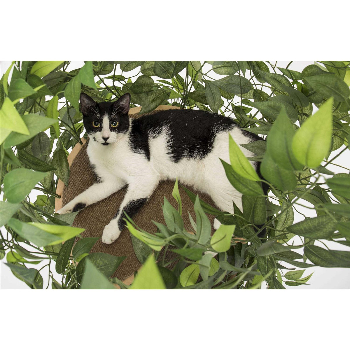 Cat Tree with Leaves Cat House R687083