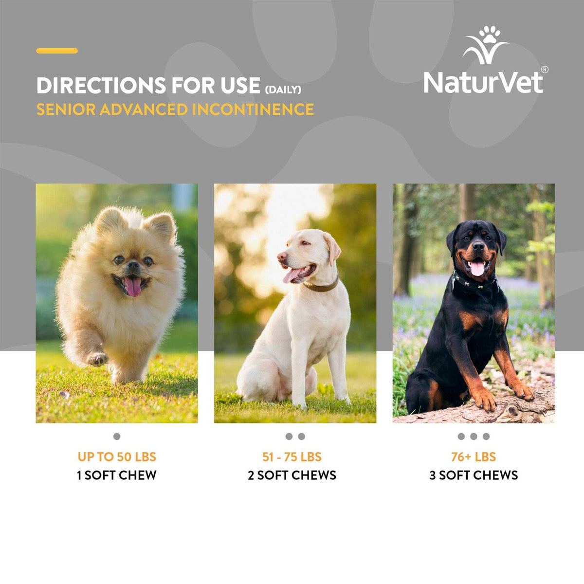 Senior Incontinence Soft Chew S470438
