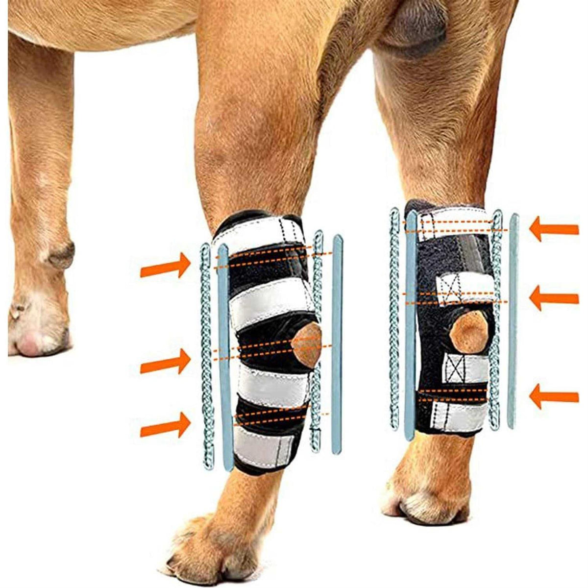 3-in-1 Dog Rear Leg Support Splint Braces R653127