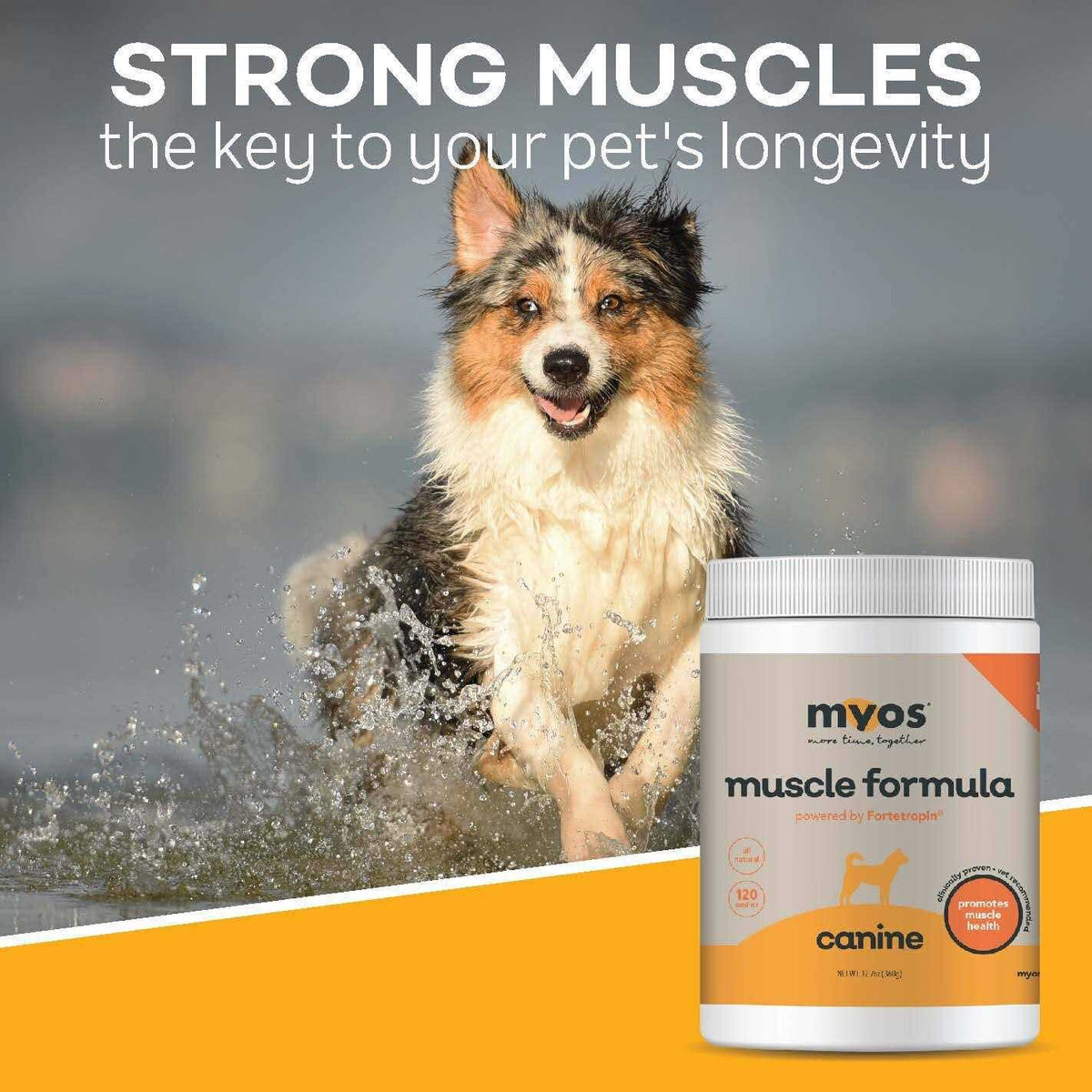 Canine Muscle Formula A327