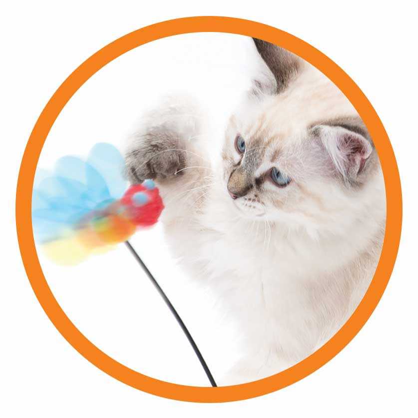 Interactive Cat Toy B542655