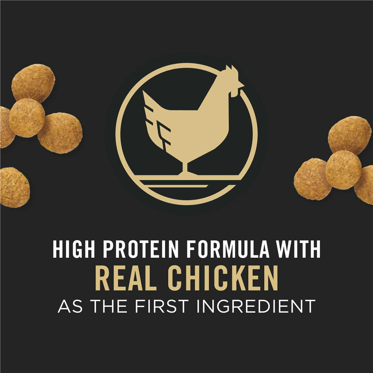 Chicken & Rice Formula Large Breed Dry Puppy Food I29873