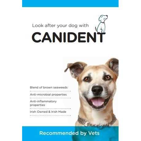 Clean Dogs Teeth W1593