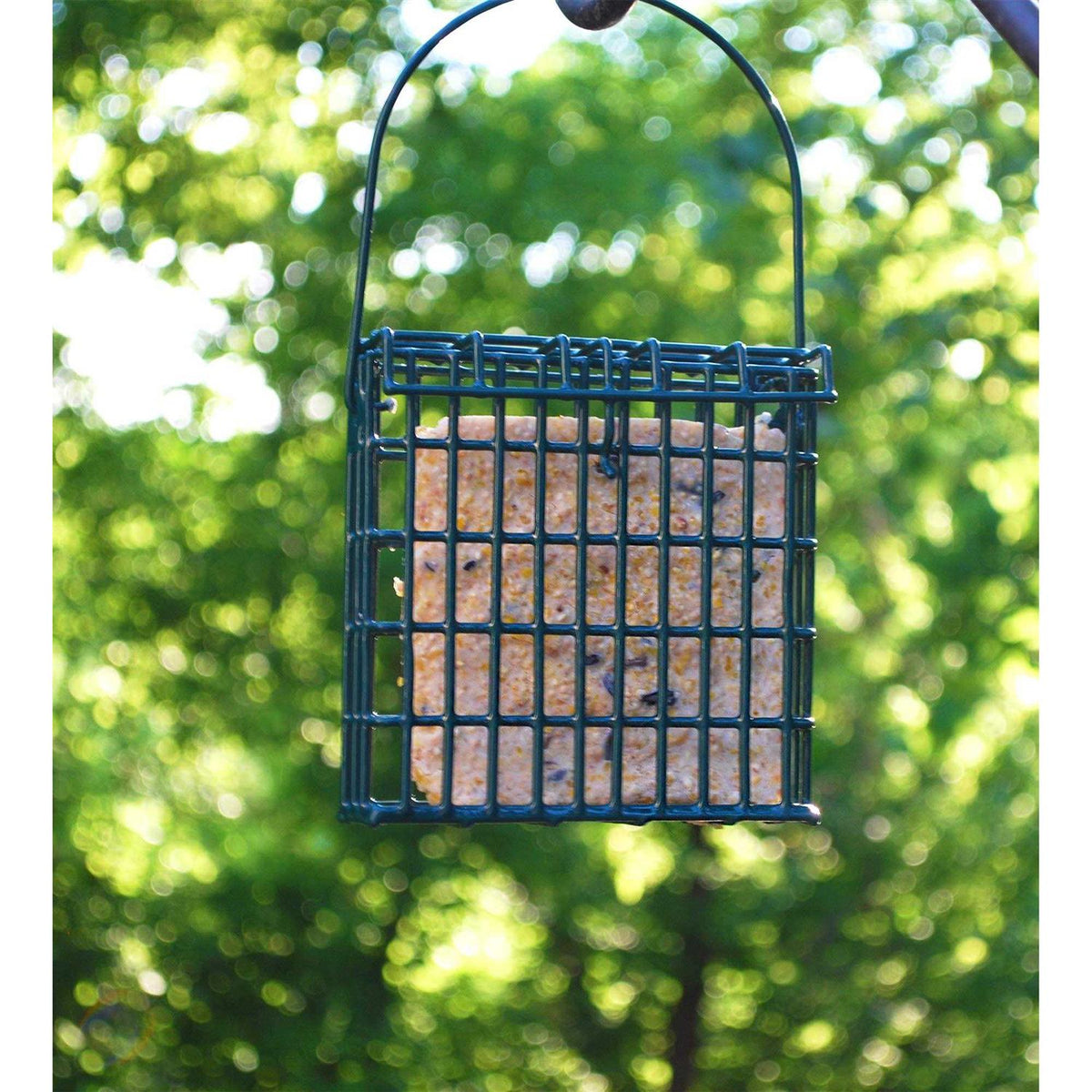 High Energy Wild Bird Suet L514148