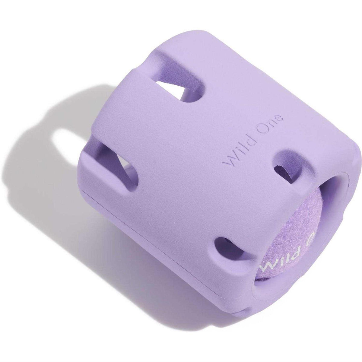 Dog Toy P82900